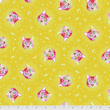 Load image into Gallery viewer, #FabricFreespiritKnotty Quilterwonder cheshire - tula pink curiouser and curiouser1 yard1# - Knotty Quilter
